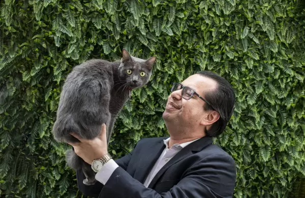 Dos gatos criollos cambiaron la vida de la familia de este Gerente
