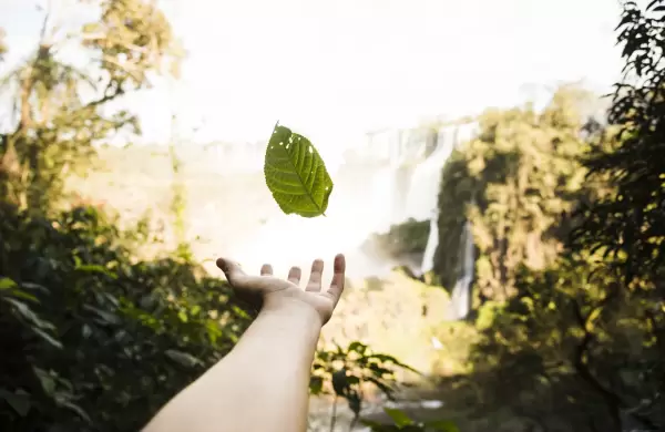 Cuando lo que haces transforma tu vida