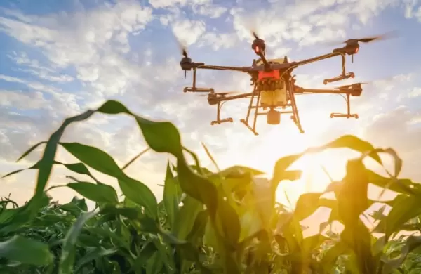 Cuáles son los desarrollos tecnológicos actuales que pueden darle un salto de calidad al Agro