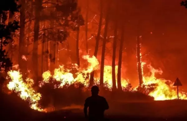 Acciones y fondos para inversores preocupados por la crisis climática: qué tener en cuenta y cómo evitar malos negocios
