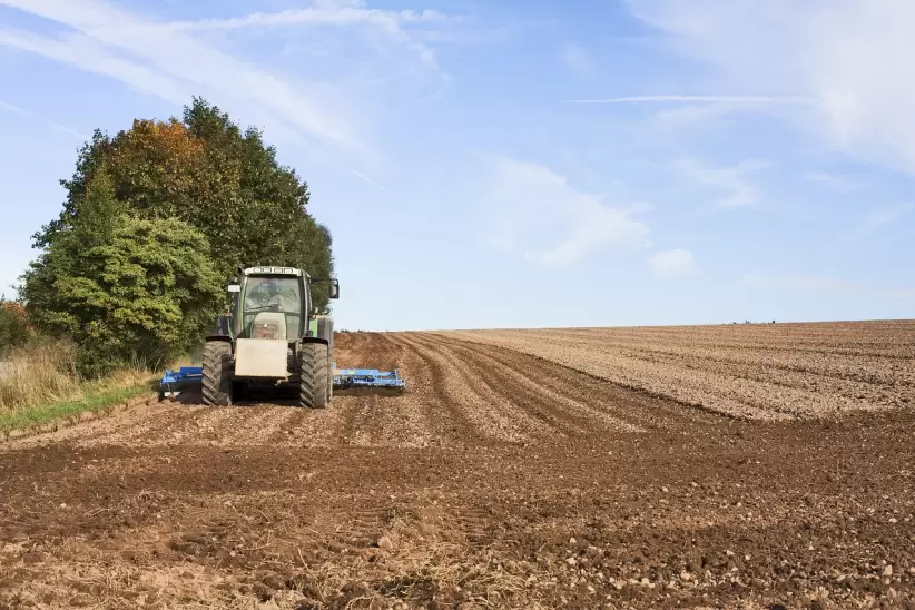 los campos, agricultura, tractor de granja