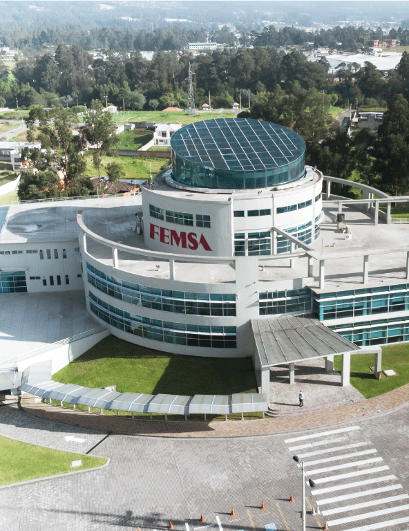 FEMSA