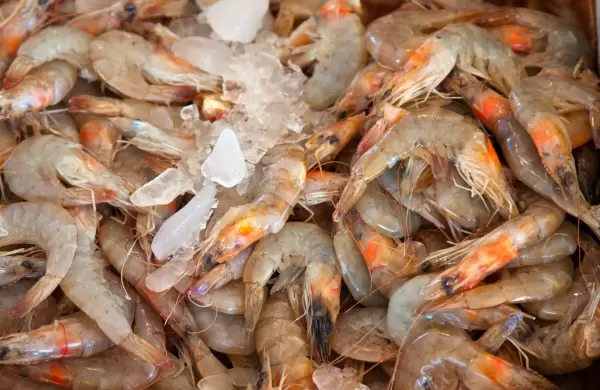 Santa Priscila y Mitsui concretan acuerdo para inversin millonaria