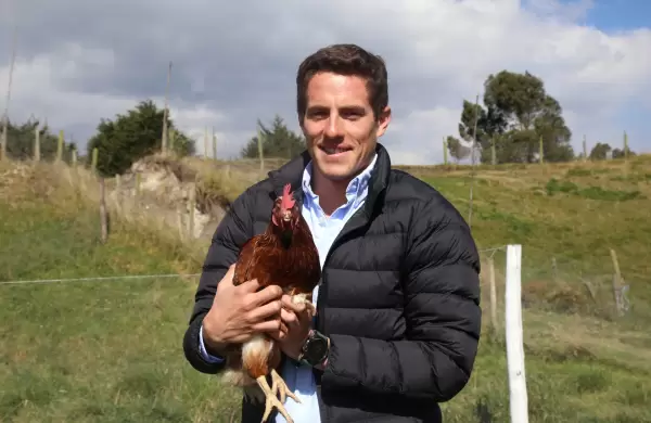 La granja de los huevos, el humus, el chulpi y el chocho 'de oro'