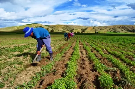 agricultura Bolivia