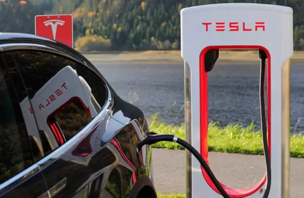 Por qu el mercado de vehculos elctricos en Estados Unidos est cada vez ms fraccionado