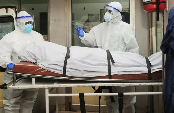 Lo que hay que saber sobre el mortal virus Nipah mientras India se apresura a contener el brote