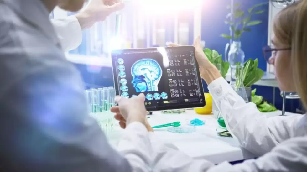 chip cerebro neuronal