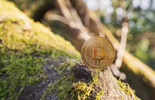 Por qu la minera de Bitcoin podra ser realmente excelente para la sostenibilidad