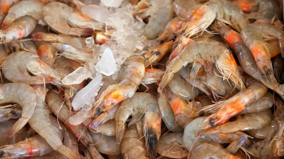 camarones-mercado