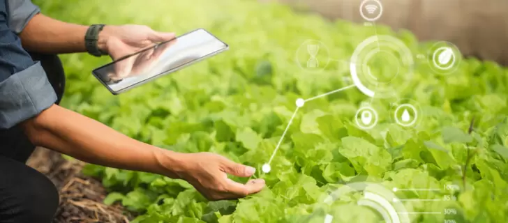 agricultura tecnologia internet