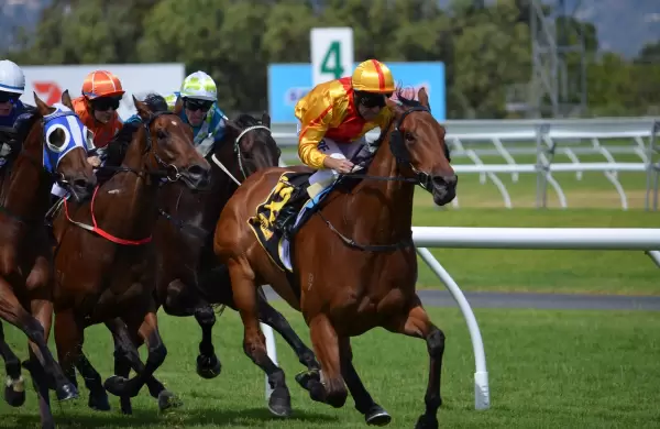 Qué sectores "inusuales" usan pronósticos meteorológicos en la toma de decisiones