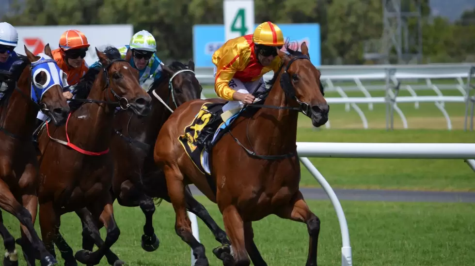 caballos, carreras, jockey