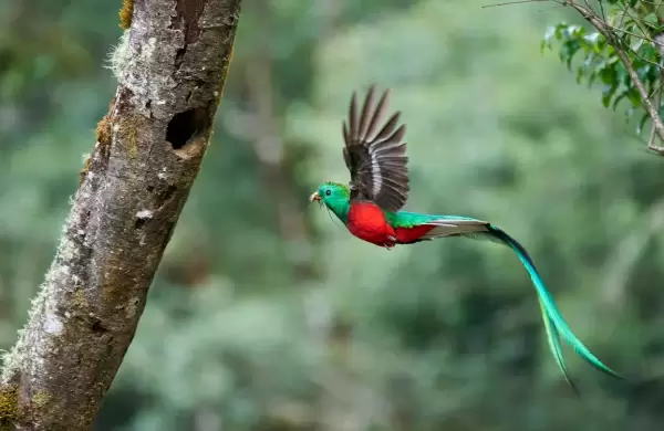 Diez complejos tursticos llenos de naturaleza para explorar en todo el continente