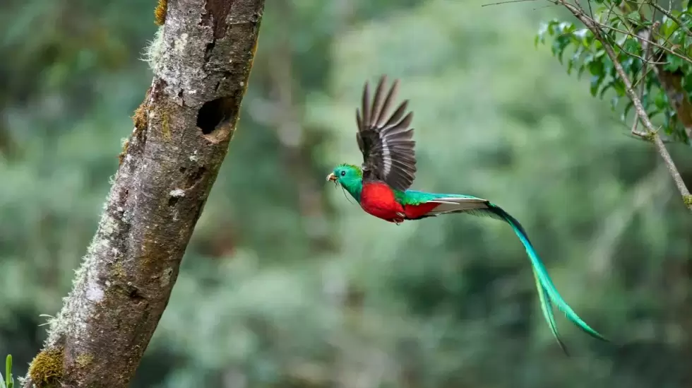 Viajes, Naturaleza, Destinos