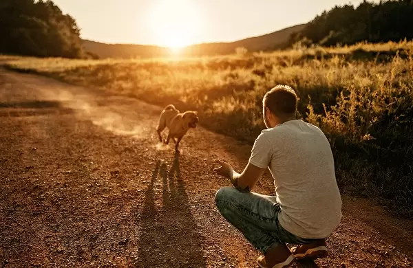 De voluntaria en un refugio a fundadora de una causa que protege animales cuando sus dueños ya no están
