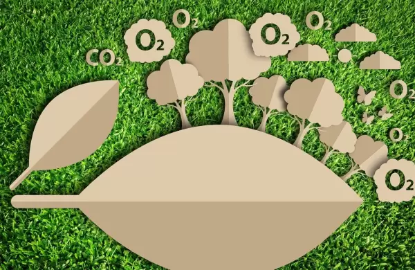 La manera gratuita y accesible en que cualquier pyme puede medir su huella de carbono