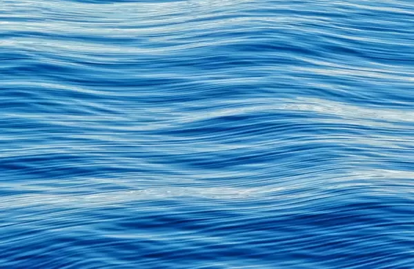 La Presidencia de Daniel Noboa y la Estrategia del Ocano Azul