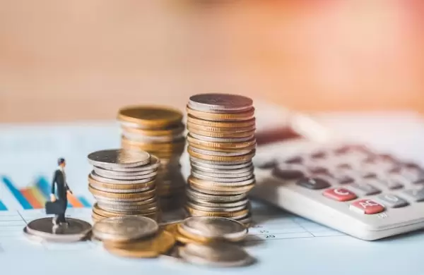 Mercado flexible pero rgido?