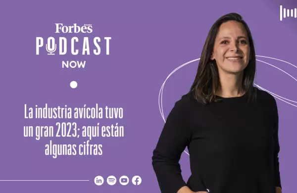 La industria avcola tuvo un gran 2023; aqu estn algunas cifras