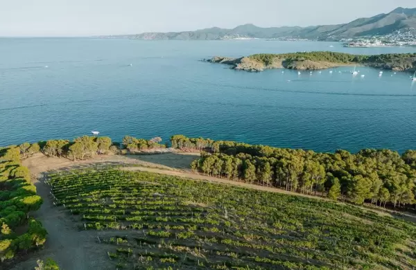 Las bodegas mediterráneas emplean soluciones dinámicas para reducir las emisiones y abordar el cambio climático