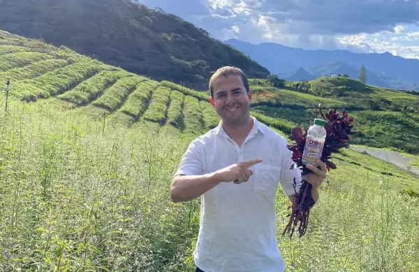 Aromtica de exportacin: se produce en Vilcabamba y se vende en 3.000 puntos de EE.UU.