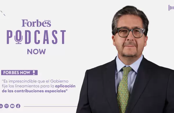 "Es imprescindible que el Gobierno fije los lineamientos para la aplicación de las contribuciones especiales"