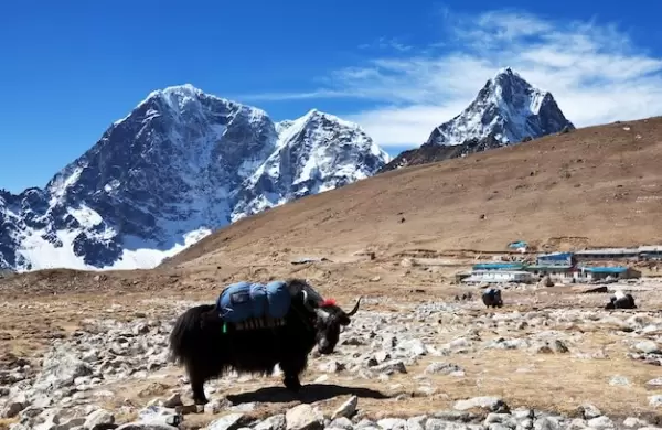 Trekking hacia la cumbre de un sueño, al corazón del Himalaya