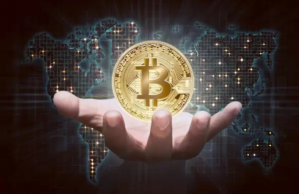 Cmo descifrar al Bitcoin: subibajas, riesgos y ms educacin