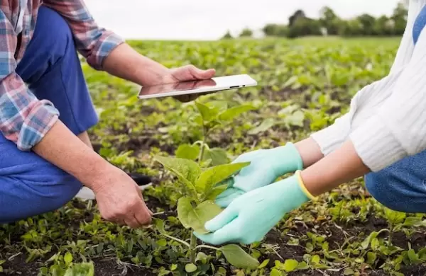 Agricultura: profesin de un futuro sostenible