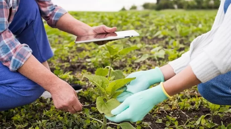 agricultura