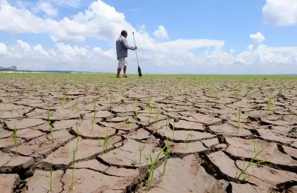 La crisis climtica empeora la inflacin y genera precios ms altos de alimentos