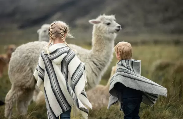 Los seis puntos clave de la Ley de Turismo