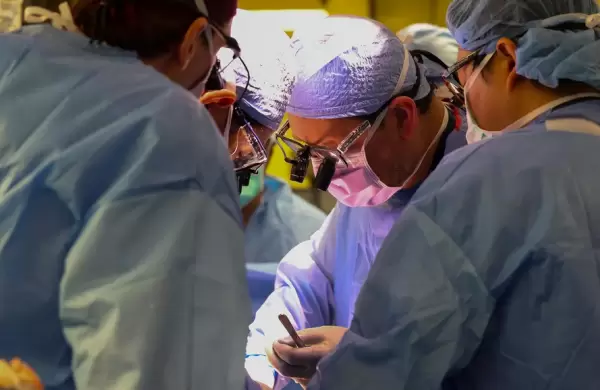 La startup detrs del primer trasplante de rin entre cerdos y humanos ahora probar con el corazn y el hgado