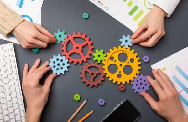 El desarrollo y su doble lenguaje