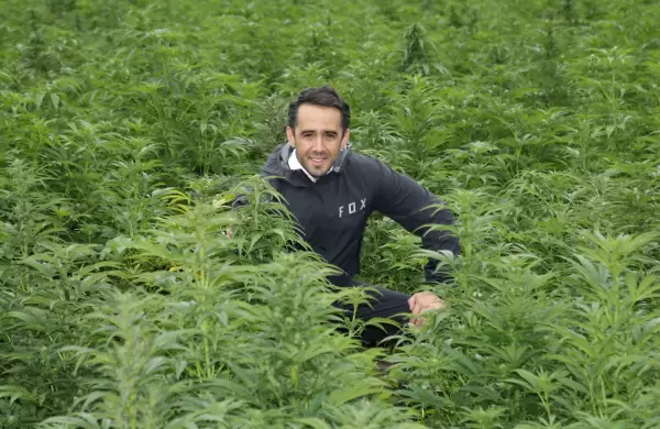 Esta empresa envi 30 toneladas de camo a EE.UU. y su plan es llegar a las 1.000 por mes