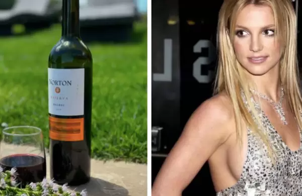 El efecto Britney Spears para Bodega Norton: viralizacin sin precedentes, aumento de ventas y cupn de descuento