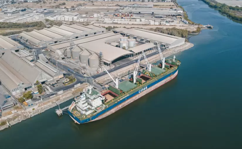 ¿Cuál es el futuro de la terminal de graneles que opera Andipuerto en Guayaquil?