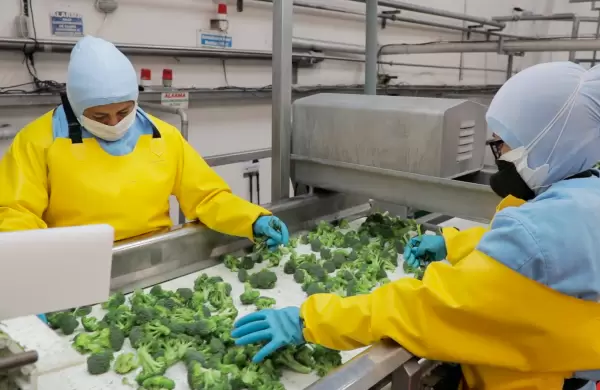 Pro Ecuador retoma protagonismo en la promocin del pas; estas sern sus funciones