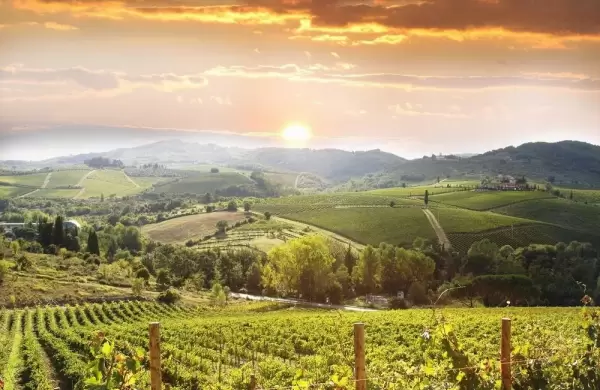 El mejor viaje en ruta por la Toscana para los amantes del vino