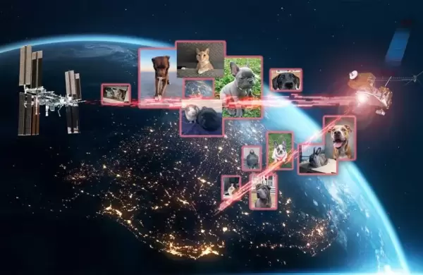 Por qu la NASA acaba de enviar con lser 500 fotografas de mascotas al espacio