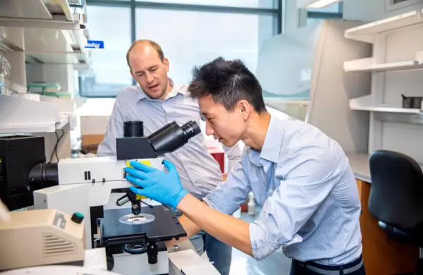 Esta startup recaudó US$ 12,5 para encontrar bacterias que ayuden a combatir el cáncer