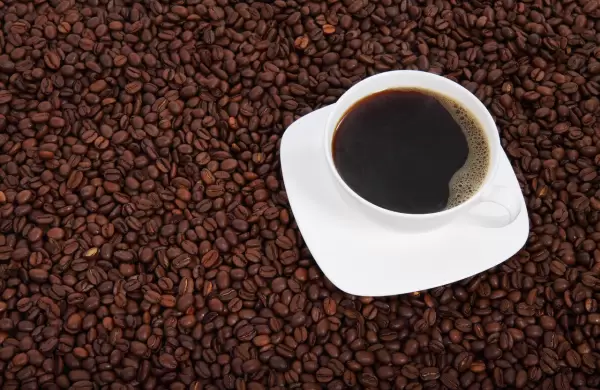 Cómo probar los cafés más caros y exóticos del mundo