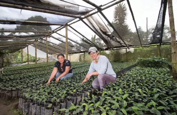 US$ 300 millones para proyectos de inversin, vivienda y crdito productivo