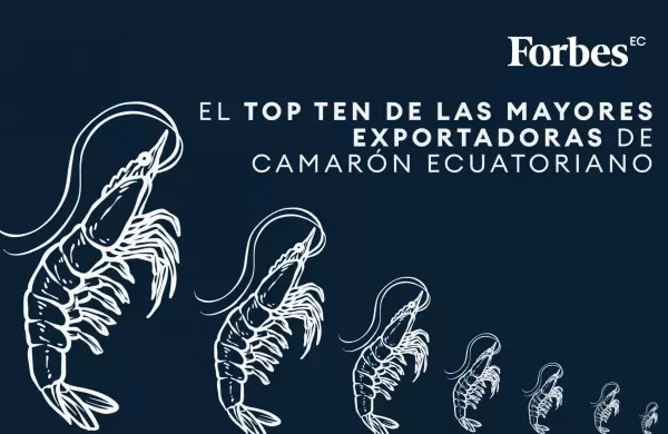 El top ten de exportadoras de camarón en el primer semestre de 2024