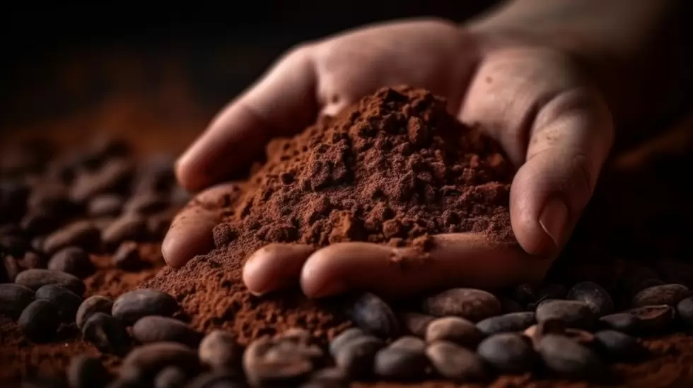 Cacao