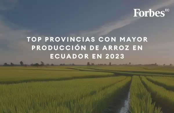 Top provincias con mayor producción de arroz en Ecuador en 2023