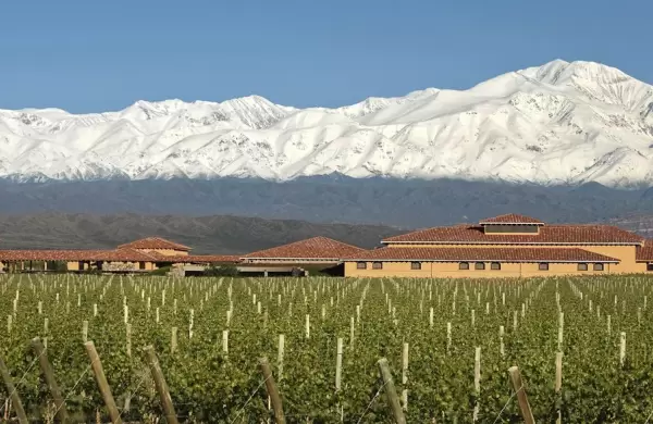 Las claves detrás del movimiento vitivinícola sustentable en Argentina