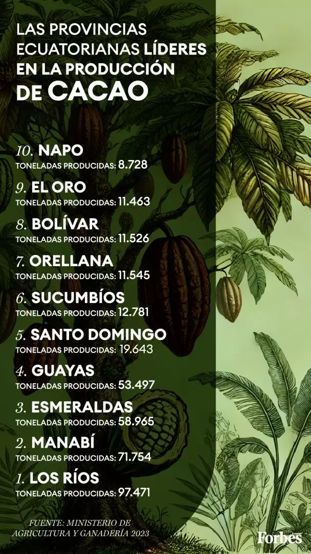 Ranking Cacao