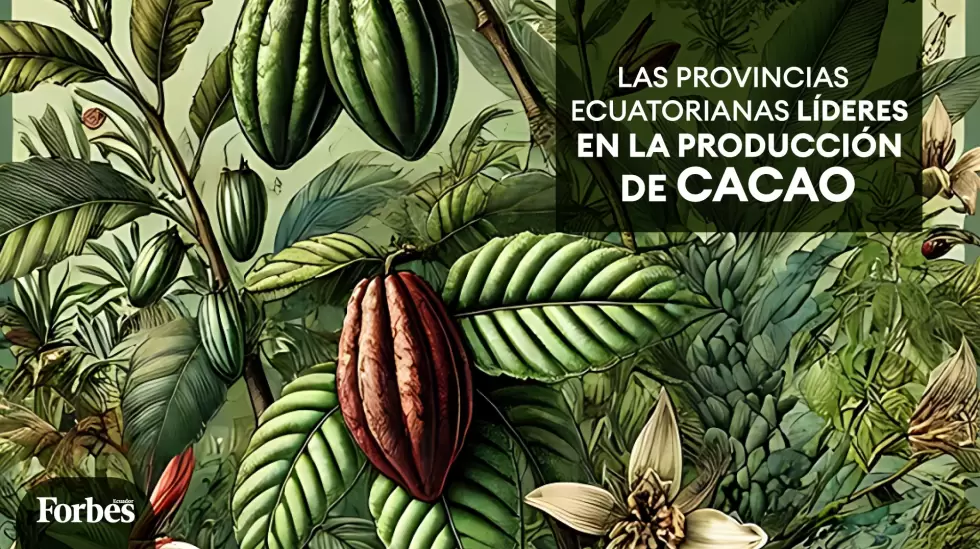 Ranking Cacao